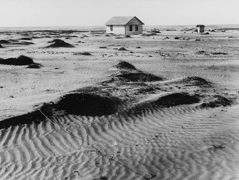 dust3.gif (44737 bytes)