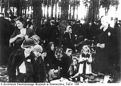 birkenau.jpg (28446 bytes)