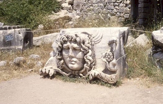 medusa1.jpg (179423 bytes)
