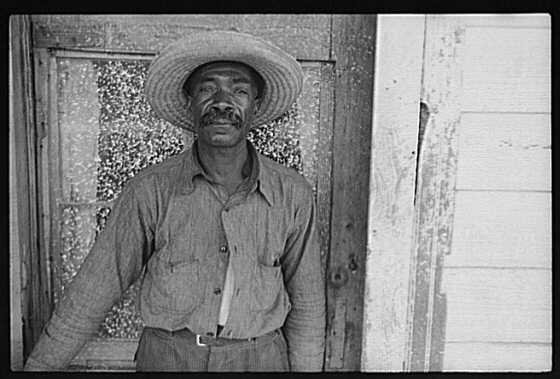 share1.jpg (27472 bytes)