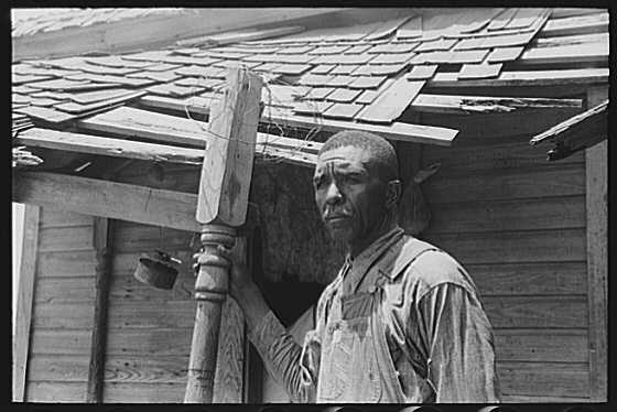 share10.jpg (30308 bytes)