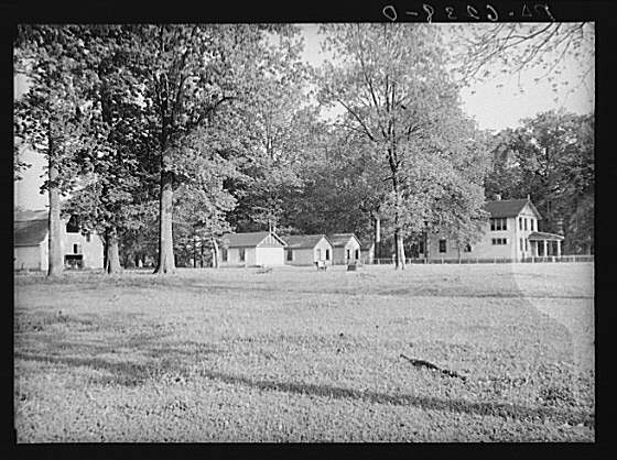 share11.jpg (54477 bytes)