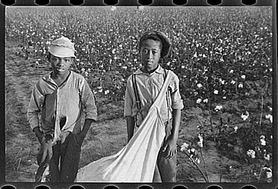 share12.jpg (42616 bytes)