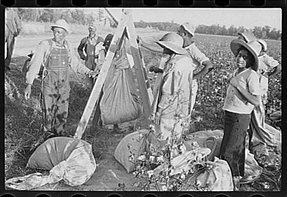 share13.jpg (37909 bytes)