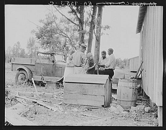 share19.jpg (38563 bytes)