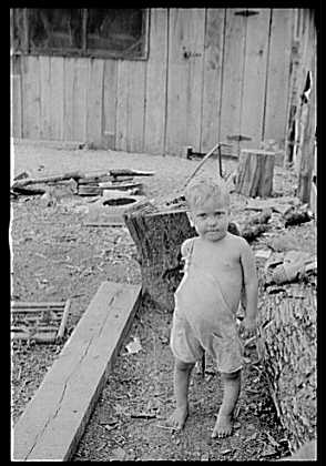 share4.jpg (21889 bytes)