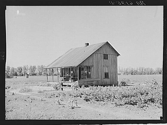 share5.jpg (31293 bytes)