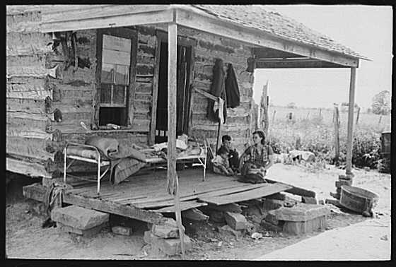 share6.jpg (33364 bytes)