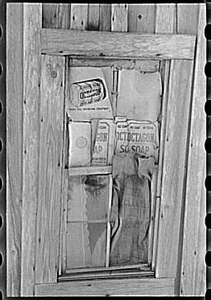 share7.jpg (20718 bytes)