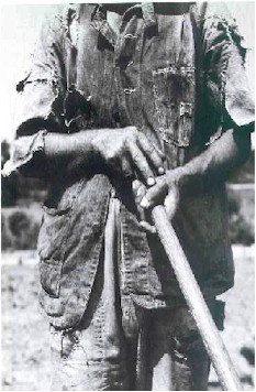 lessig1.jpg (34637 bytes)