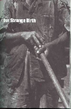 lessig2.jpg (28437 bytes)