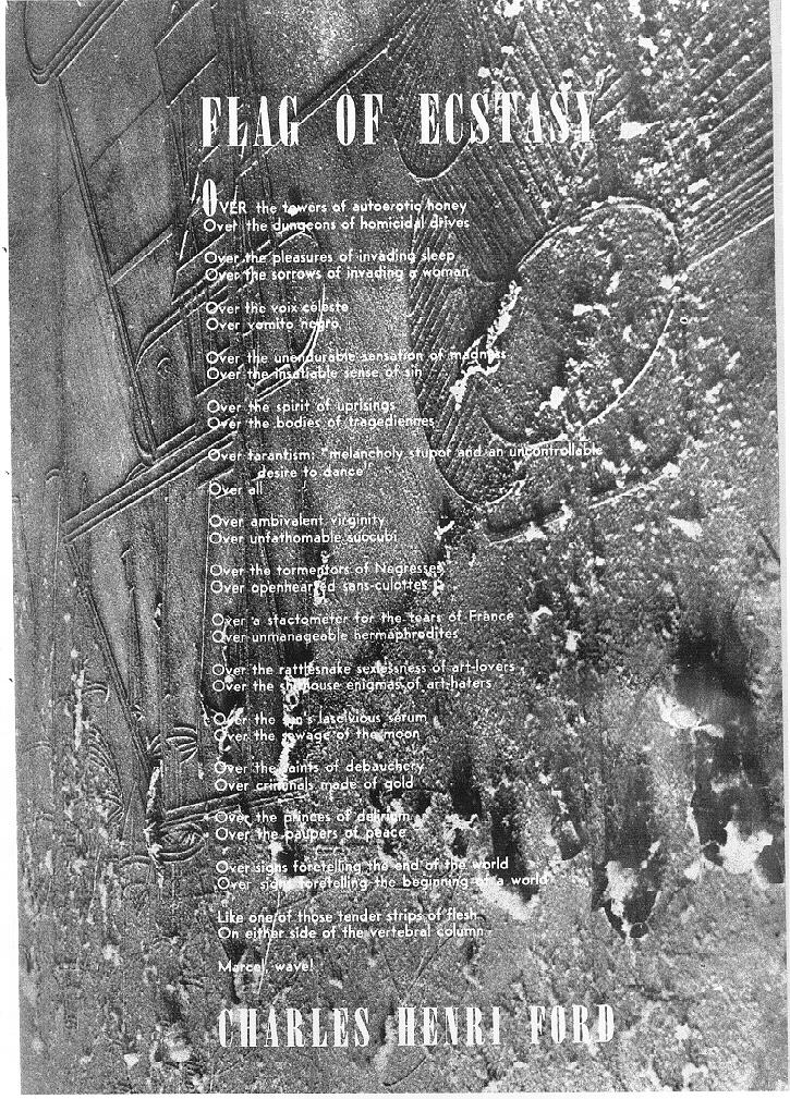 flag.jpg (299535 bytes)