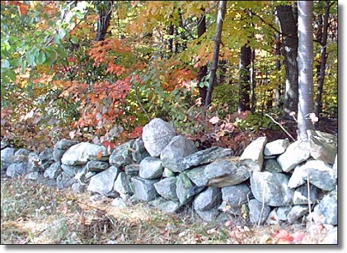 wall1.jpg (88163 bytes)