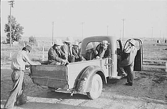 11.jpg (130951 bytes)