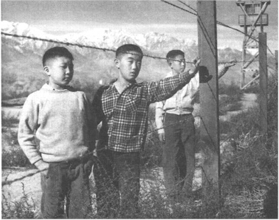 fence.jpg (97244 bytes)