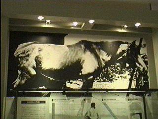 horse.gif (68394 bytes)