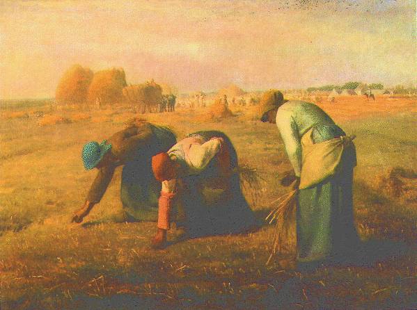 glaneuses.jpg (41474 bytes)