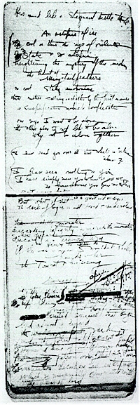 octopus.jpg (148974 bytes)