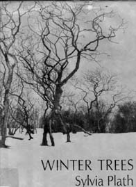 winter.jpg (49859 bytes)