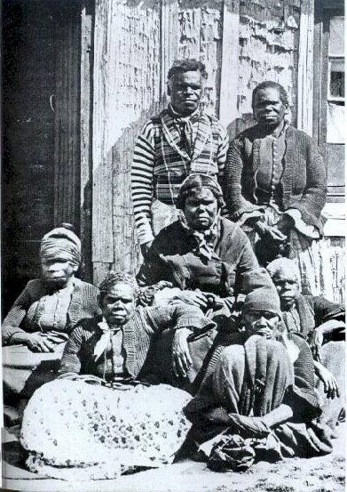 rose2.jpg (226843 bytes)