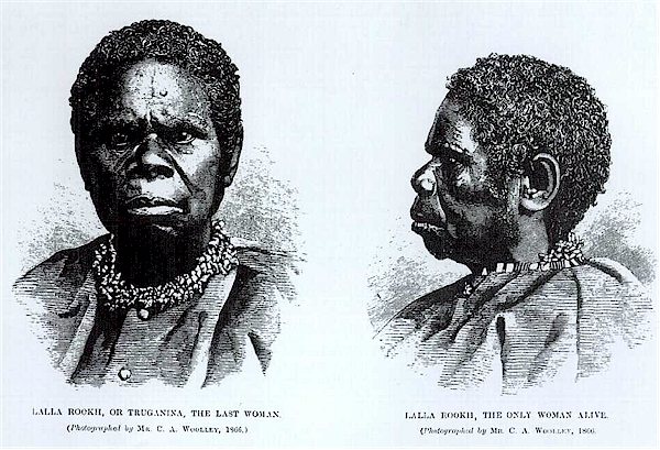 rose3.jpg (234910 bytes)