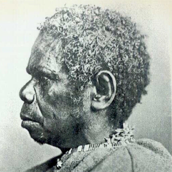 rose4.jpg (98715 bytes)