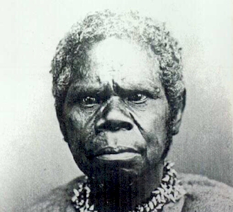 rose5.jpg (76113 bytes)