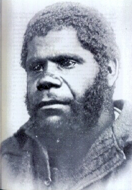 rose6.jpg (83151 bytes)