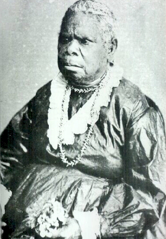 rose7.jpg (135452 bytes)