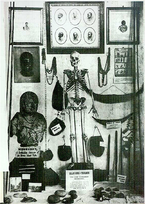 rose8.jpg (362293 bytes)