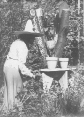 garden.gif (46406 bytes)