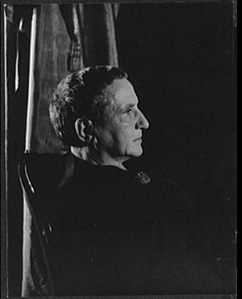 stein2.jpg (12403 bytes)