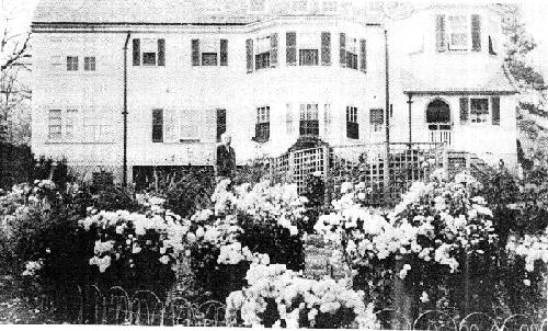 garden.jpg (53555 bytes)