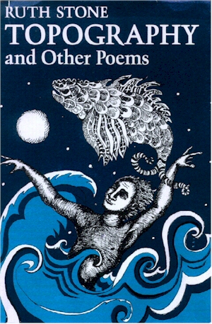 topog.jpg (159711 bytes)