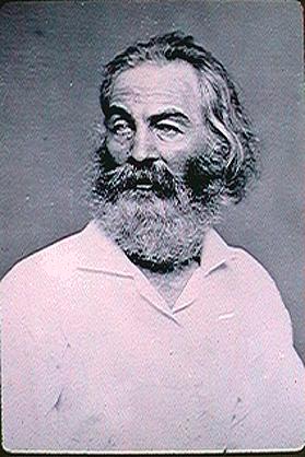 019.jpg (27729 bytes)
