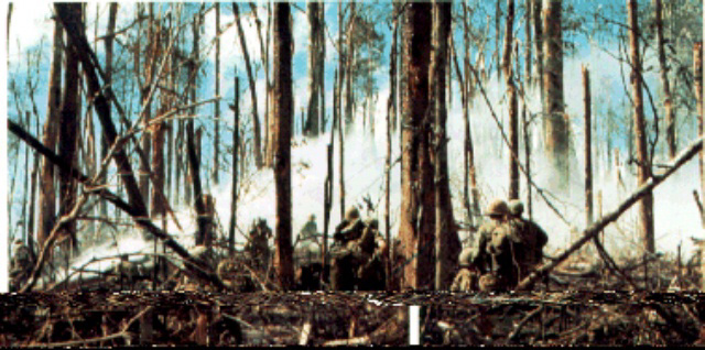 09.jpg.jpg (140210 bytes)